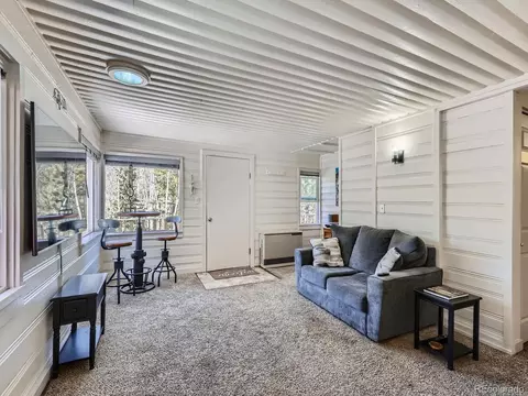 258 Anderson Rd, Bailey, CO 80421 photo 4