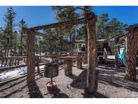 22304 Bobcat Ct, Elbert, CO 80106 photo 38
