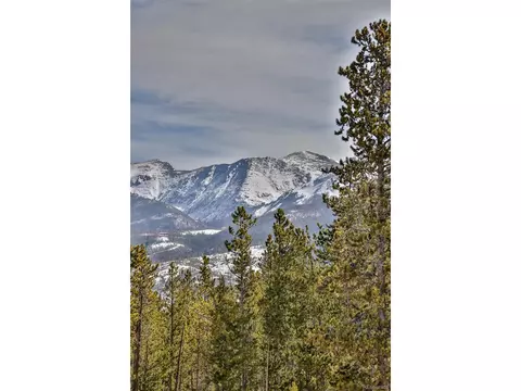 Undisclosed, Fraser, CO 80442 photo 37