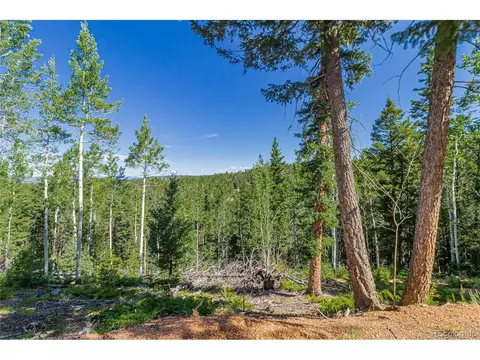 395 Paradiso Rd, Divide, CO 80814