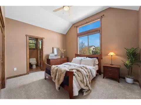 5239 Hialeah Dr, Windsor, CO 80550 photo 19