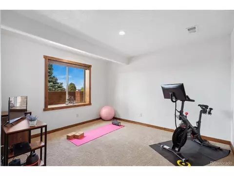 5239 Hialeah Dr, Windsor, CO 80550 photo 26