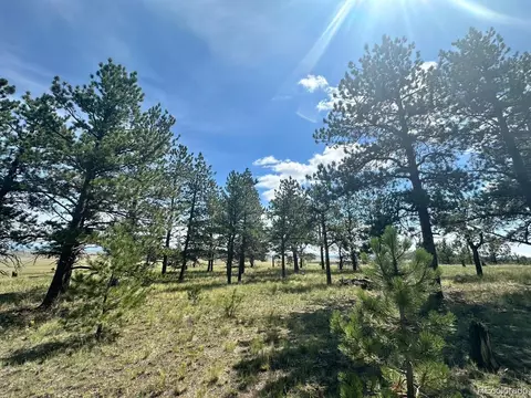 2743 Wagon Wheel Rd, Hartsel, CO 80449