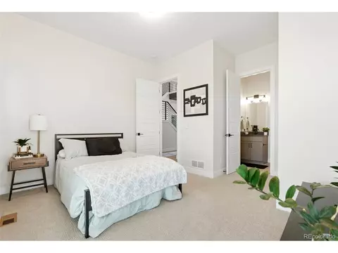 Bedroom - 1702 Branching Canopy Dr, Windsor, CO 80550 photo 1 of 4