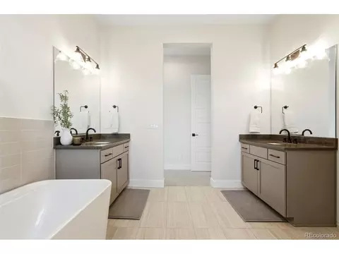 Bath - 1702 Branching Canopy Dr, Windsor, CO 80550 photo 4 of 9