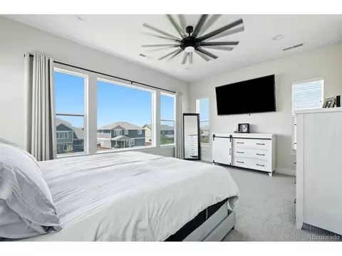 Bedroom - 1702 Branching Canopy Dr, Windsor, CO 80550 photo 2 of 4