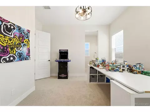 Other - 1702 Branching Canopy Dr, Windsor, CO 80550 photo 3 of 4