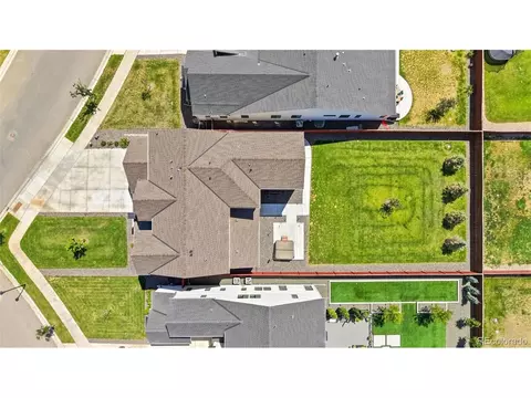 View/Area - 1702 Branching Canopy Dr, Windsor, CO 80550 photo 2 of 6