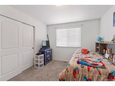 3398 Hackberry Ln, Johnstown, CO 80534 photo 21