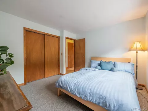 87 Sparrow Ct, Bailey, CO 80421 photo 22
