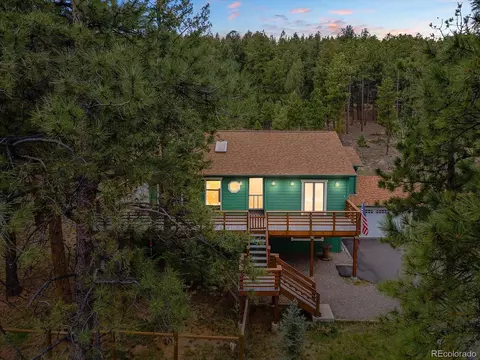 87 Sparrow Ct, Bailey, CO 80421 photo 1