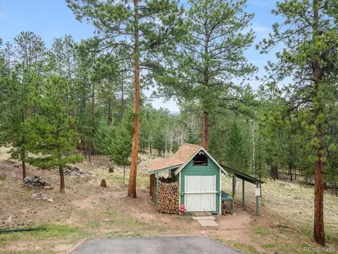 87 Sparrow Ct, Bailey, CO 80421 photo 32