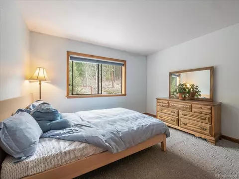 87 Sparrow Ct, Bailey, CO 80421 photo 21