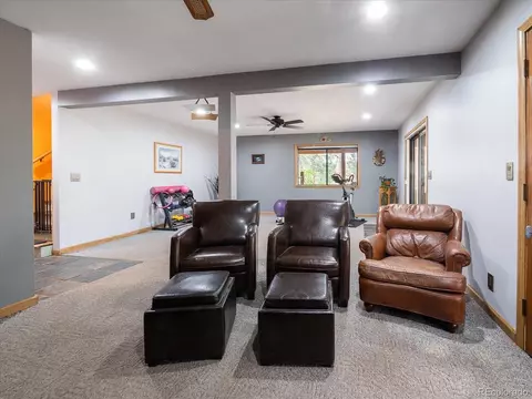 87 Sparrow Ct, Bailey, CO 80421 photo 28