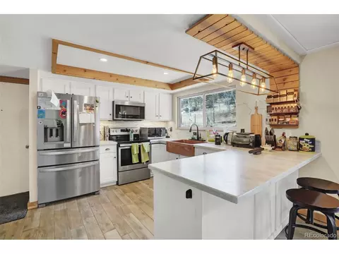 33511 Dotty Rd, Pine, CO 80470 photo 10
