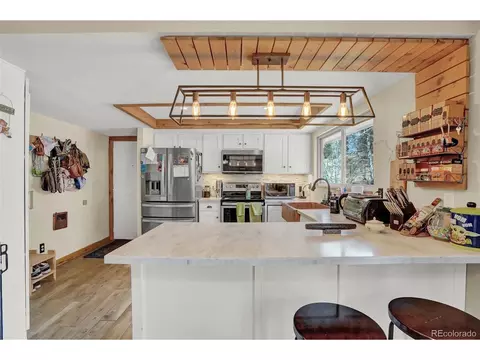 33511 Dotty Rd, Pine, CO 80470 photo 11