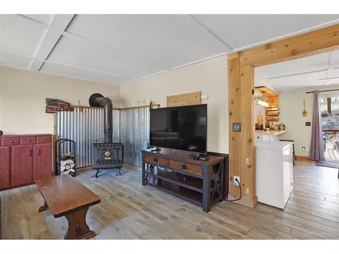 33511 Dotty Rd, Pine, CO 80470 photo 5