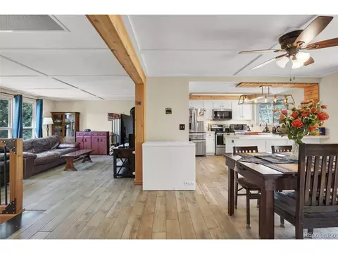 33511 Dotty Rd, Pine, CO 80470 photo 7