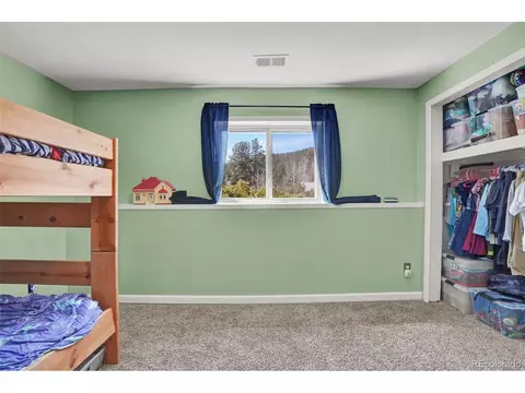 33511 Dotty Rd, Pine, CO 80470 photo 13
