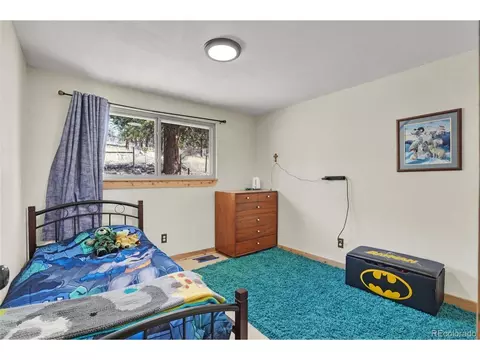33511 Dotty Rd, Pine, CO 80470 photo 16