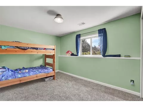 33511 Dotty Rd, Pine, CO 80470 photo 12