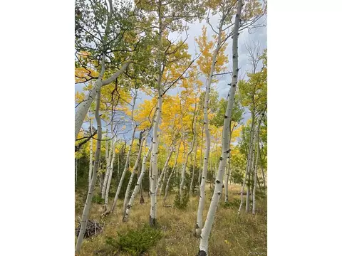 944 Brahma Cir, Hartsel, CO 80449