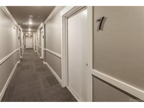 6582 Crystal Downs Dr #203, Windsor, CO 80550 photo 27