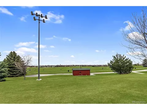 6582 Crystal Downs Dr #203, Windsor, CO 80550 photo 34