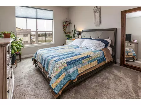 6582 Crystal Downs Dr #203, Windsor, CO 80550 photo 17