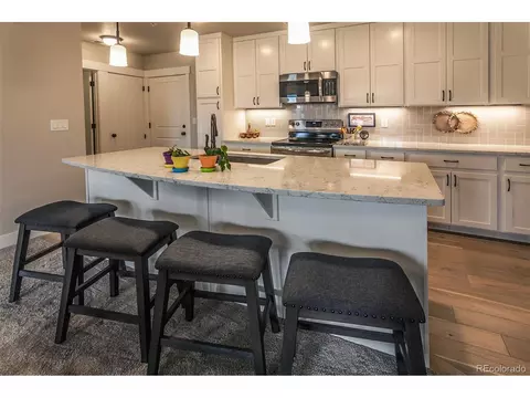 6582 Crystal Downs Dr #203, Windsor, CO 80550 photo 12