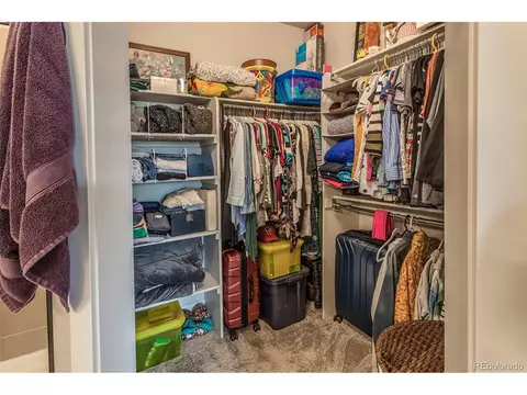 6582 Crystal Downs Dr #203, Windsor, CO 80550 photo 21