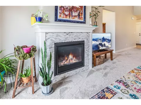 6582 Crystal Downs Dr #203, Windsor, CO 80550 photo 7