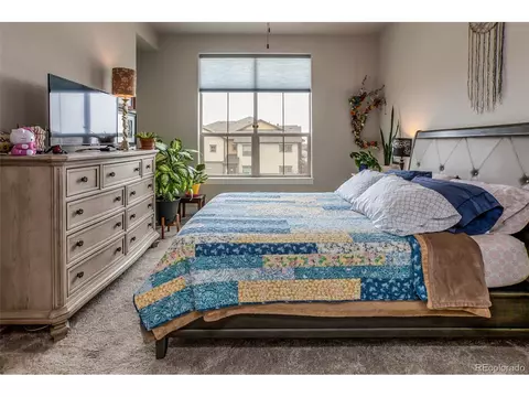 6582 Crystal Downs Dr #203, Windsor, CO 80550 photo 22