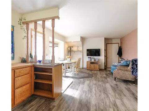 159 Eisenhower Dr, Fraser, CO 80442 photo 4