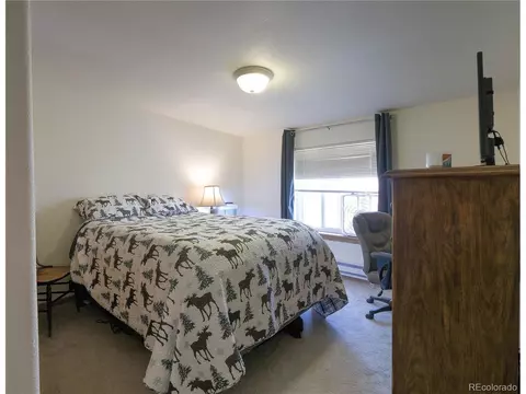 159 Eisenhower Dr, Fraser, CO 80442 photo 16