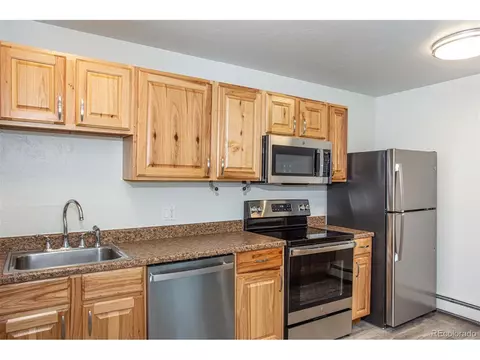 220 Galena St #3, Frisco, CO 80443