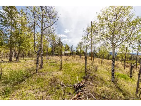 33529 Warren Rd, Pine, CO 80470 photo 37