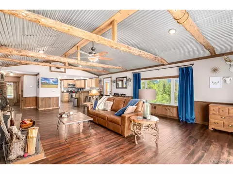33529 Warren Rd, Pine, CO 80470 photo 6
