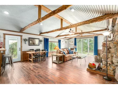 33529 Warren Rd, Pine, CO 80470 photo 4
