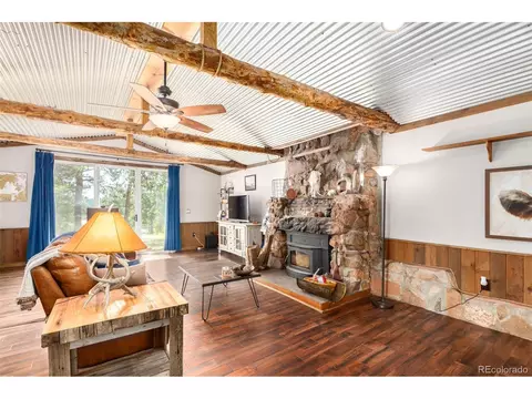 33529 Warren Rd, Pine, CO 80470 photo 5