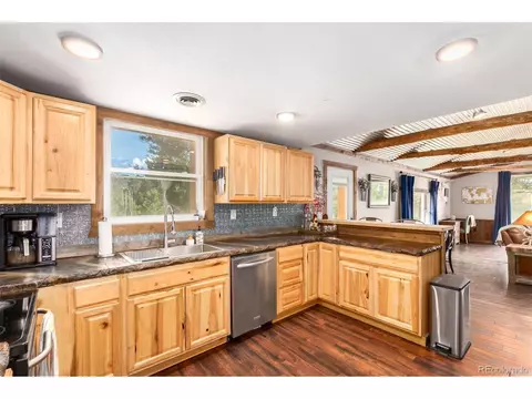 33529 Warren Rd, Pine, CO 80470 photo 14