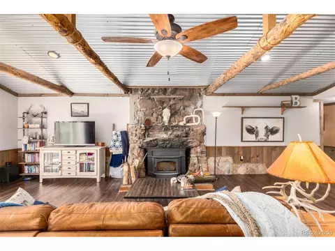 33529 Warren Rd, Pine, CO 80470 photo 7