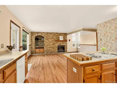 1029 E 131st Dr, Thornton, CO 80241 photo 19
