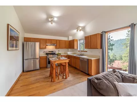 82 Anderson Rd, Bailey, CO 80421 photo 7