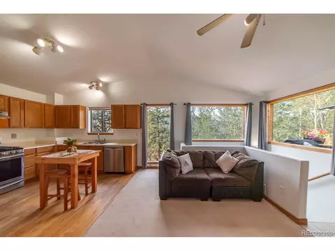 82 Anderson Rd, Bailey, CO 80421 photo 11