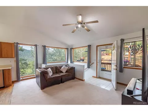 82 Anderson Rd, Bailey, CO 80421 photo 6