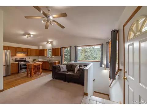 82 Anderson Rd, Bailey, CO 80421 photo 10
