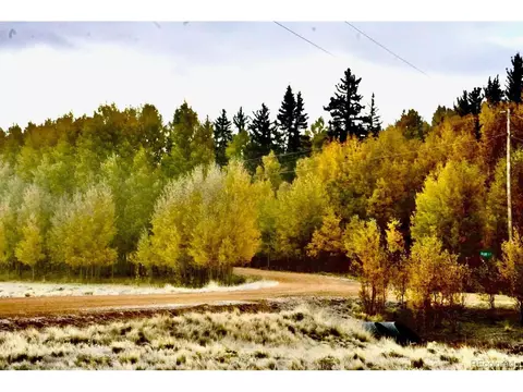 249 Mcdowell Dr, Jefferson, CO 80456 photo 34
