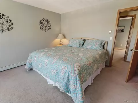 Undisclosed, Silverthorne, CO 80498 photo 29