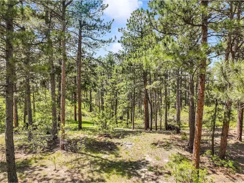 1180 Lone Scout Lookout, Monument, CO 80132